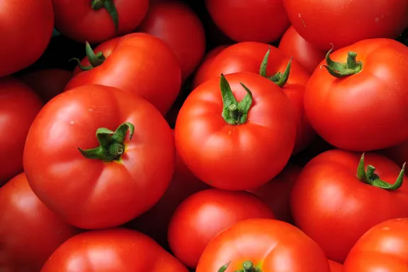 Eating Tomatoes Can Reduce Risk of Developing Prostate Cancer, Study Shows