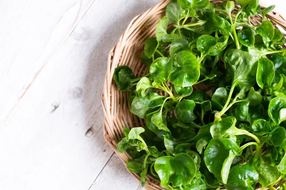 Reasons Springtime Greens Are Worth a Healthy Nibble