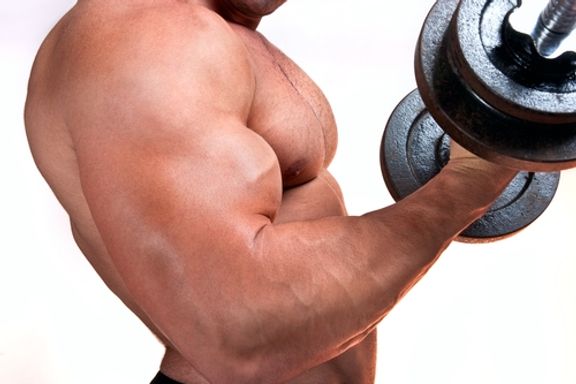 Les 13 Meilleurs Programmes d’Entrainement pour vous Muscler