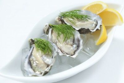 Oysters