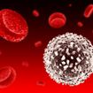 10 cose da sapere sul numero di globuli bianchi nel sangue