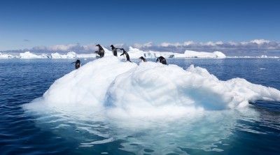 climate change