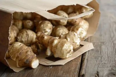 Jerusalem Artichokes