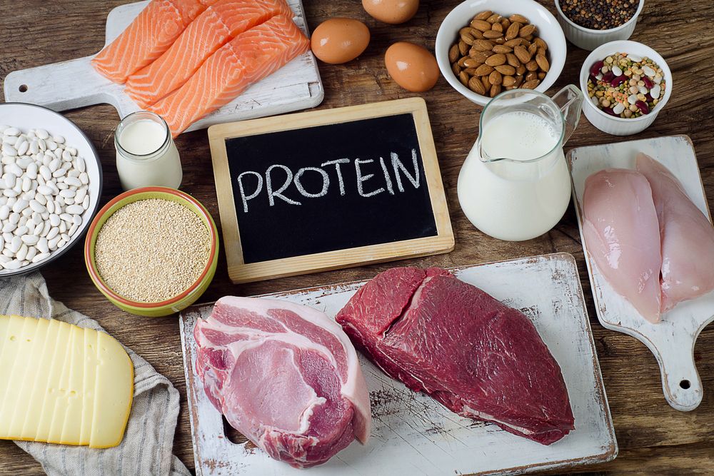 high-protein-rich-foods-role-of-protein-in-weight-loss-zigverve