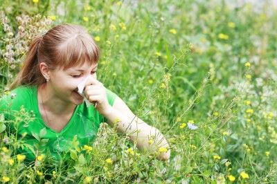 allergies