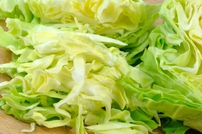 cabbage
