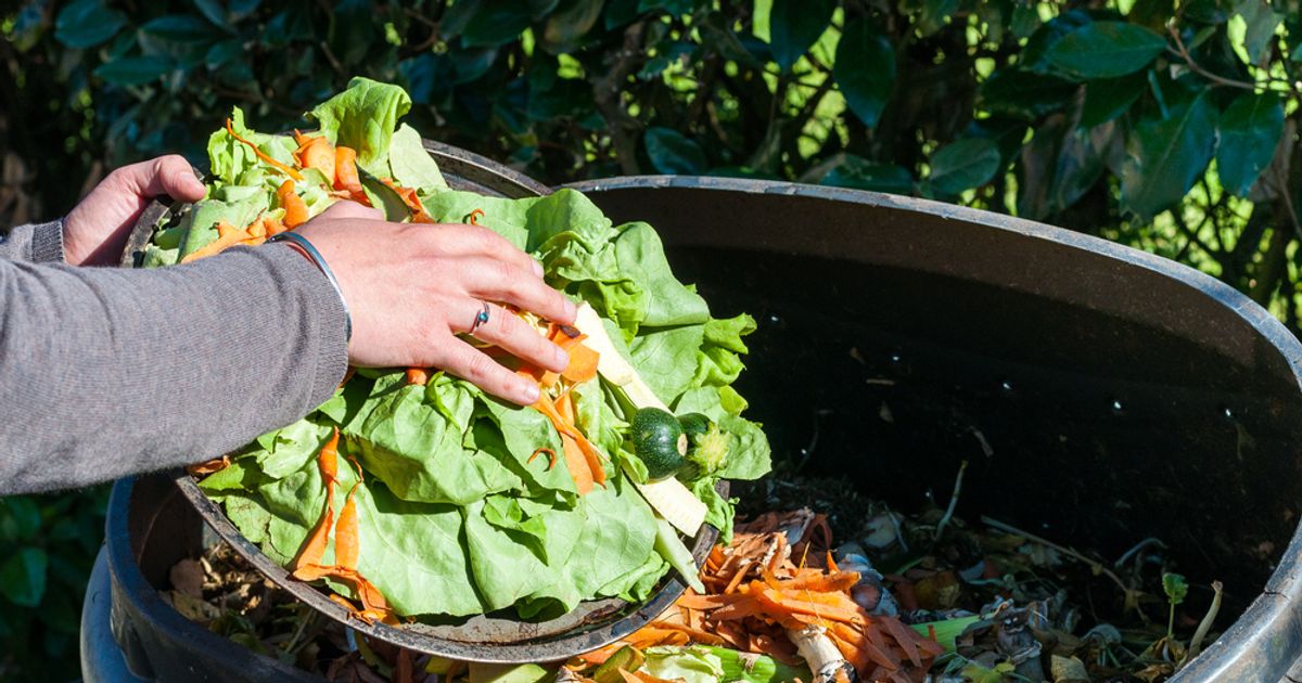 Easy Steps to Composting ActiveBeat