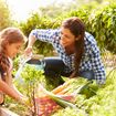 Fun and Healthy Mother's Day Ideas For The Family
