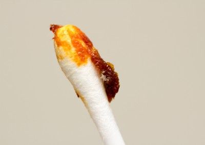 shutterstock_126042578