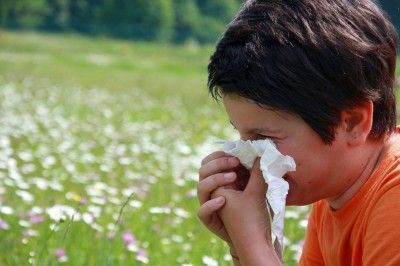 allergies
