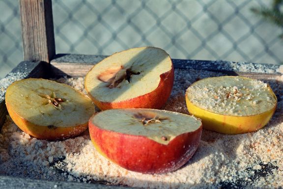 10 usages sains pour vos vieilles pommes abimées