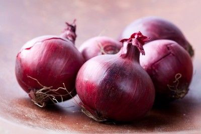 shutterstock_70873888