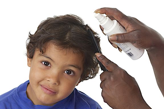 Many Lice Removal Treatments No Longer Effective