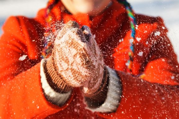 5 Natural Ways to Fight Bacterial Infections - ActiveBeat