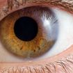 Your Eyes Are The Windows to Overall Health   