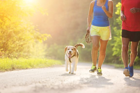 Tips For Summer Exercise With Your Dog