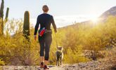 Healthy Solo Hobbies to Try This Summer