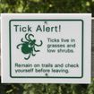 Tick Off! Lyme Disease Protection Tips 