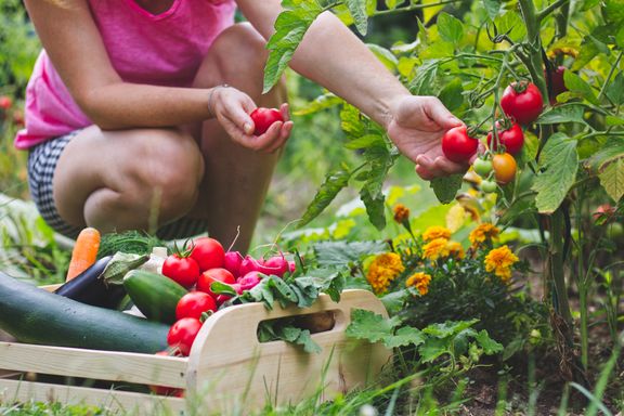 Healthy Reasons Why You Should Grow Vegetables