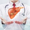 Fatty Liver Disease: The Most Common Symptoms