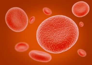Gelbsucht hepatitis b bilder,10 Grunde Fur Gelbsucht Bei Erwachsenen Activebeat