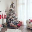 A Real vs. Fake Christmas Tree: Which is Greener?