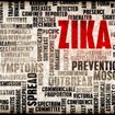 6 faits à savoir absolument sur le virus Zika