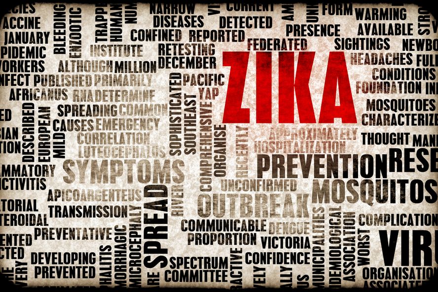 Seis factores clave sobre el virus del zika que todos deberíamos conocer