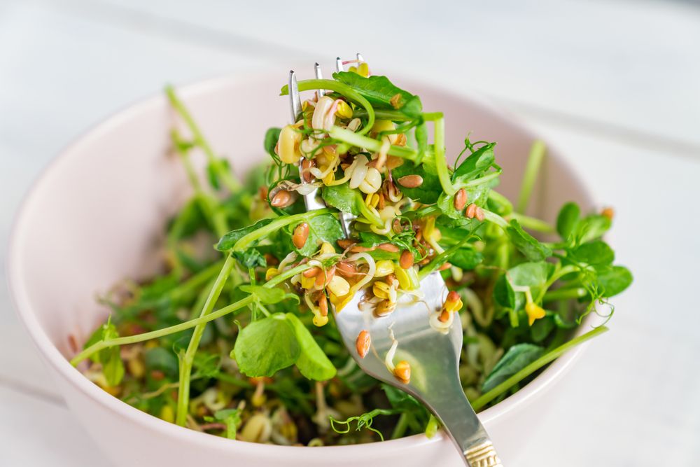 Best Vegetables for Building Muscle - ActiveBeat