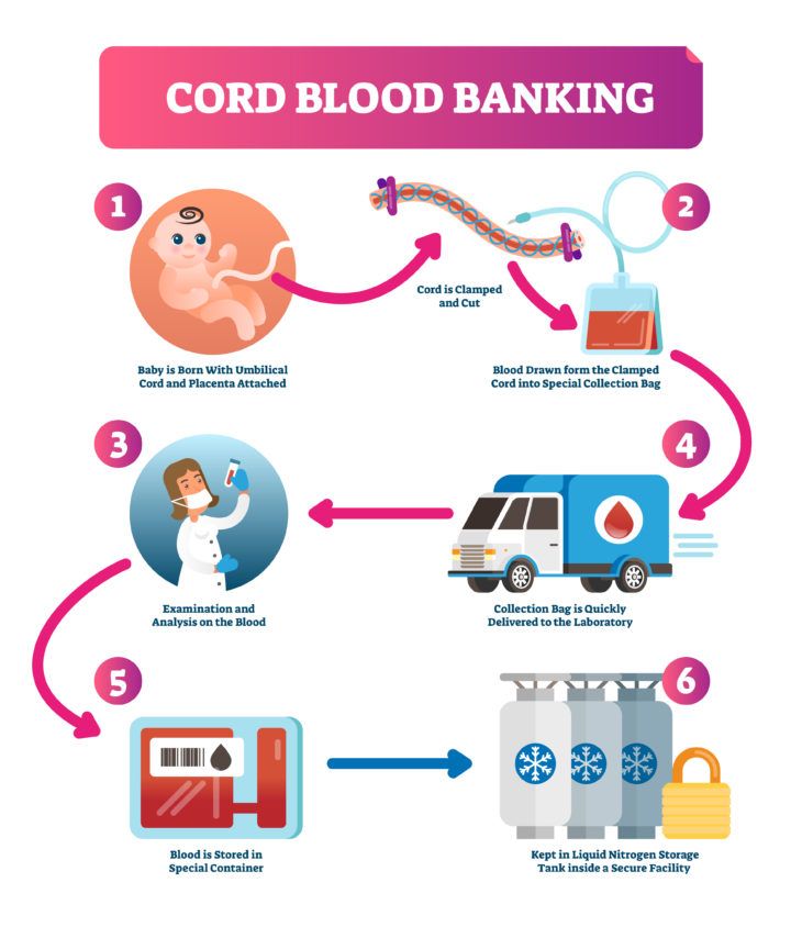 Vital Facts on Cord Blood Donation and Awareness ActiveBeat
