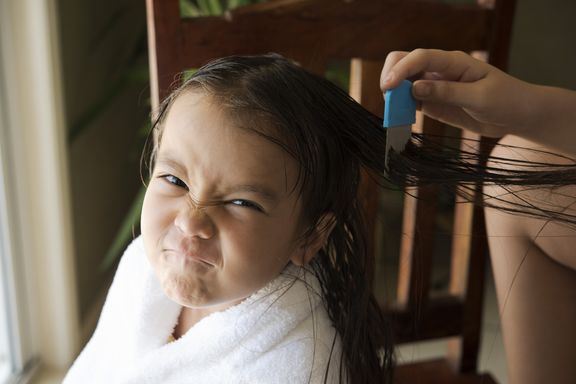 Head Lice Myths for Back to School