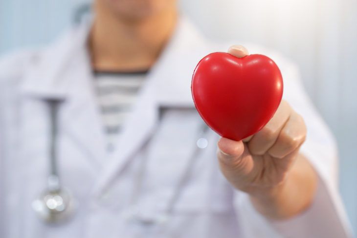 Doctor holding plastic heart
