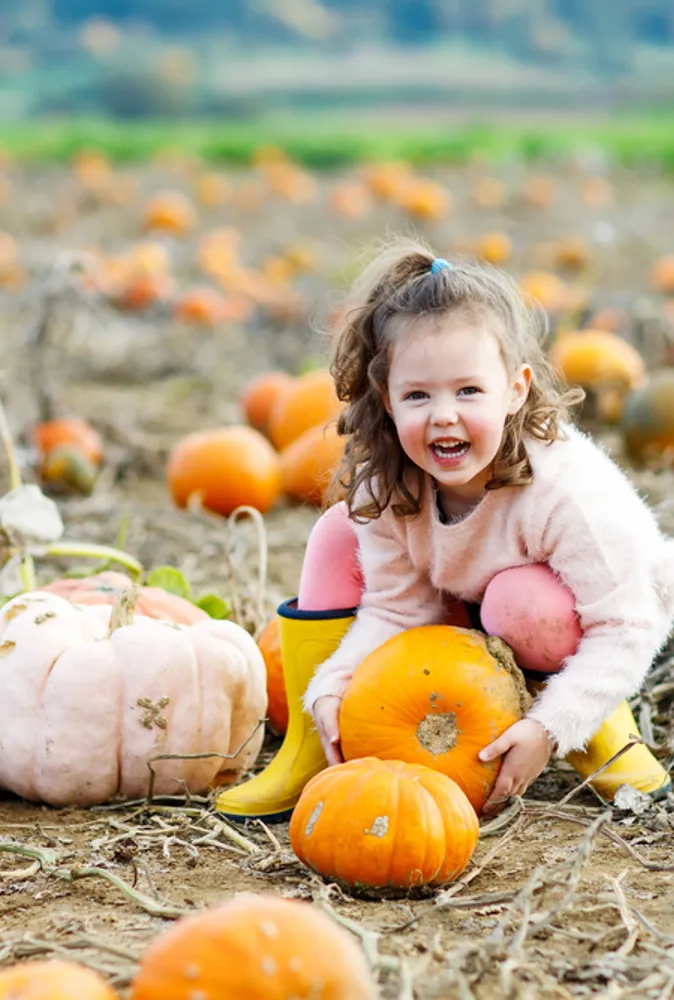 Reasons to Embrace the Health Benefits of Fall
