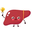 Health Facts About the Liver