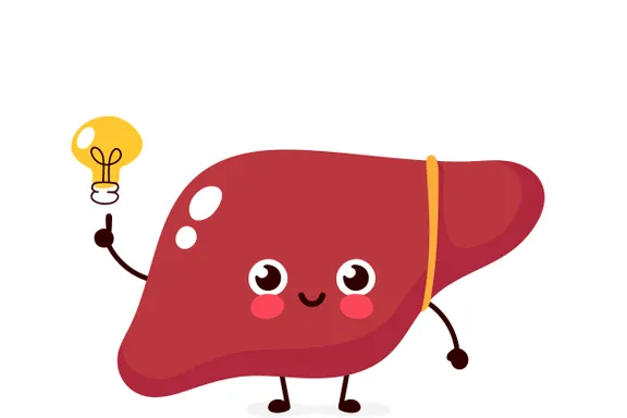 Health Facts About the Liver