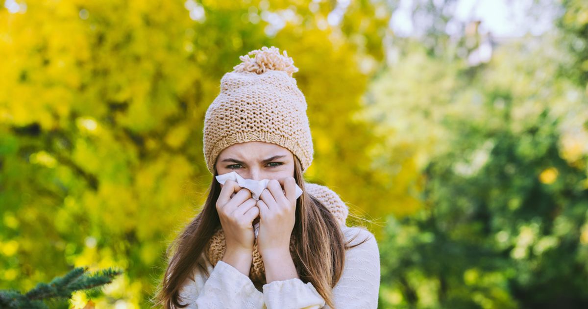Most Common Fall Allergies and How to Soothe Them Quickly ActiveBeat