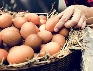 how much iodine in eggs