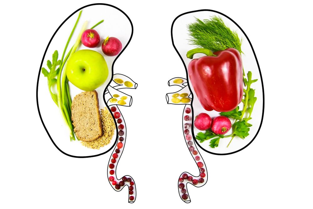Foods Good For Your Kidneys ActiveBeat