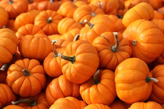 Picking the Most Nutritious Fall Fruits and Veggies