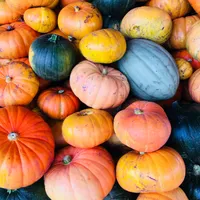 The Incredible Health Benefits of Squash