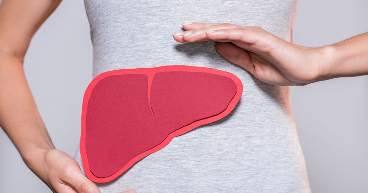 Common Reasons for a High Liver Enzyme Count ActiveBeat