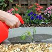 Natural Ways to Keep Weeds Out of Your Garden