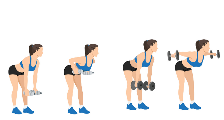 Superset: bent-over barbell row followed immediately by rear delt fly