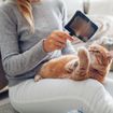 Hairballs in Cats: Symptoms, Causes, and Treatment