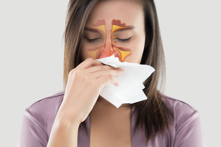 Everything You Need to Know About The Sinuses