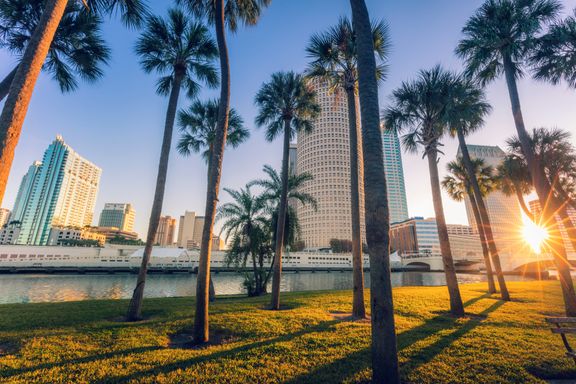 12 Things To See and Do in Tampa