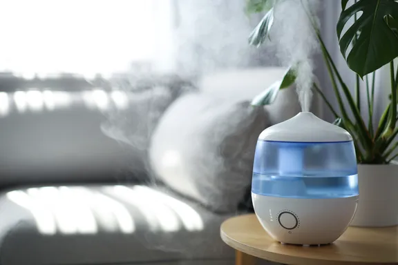 The Benefits of an Air Humidifier