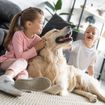 Friendly Dog Breeds for Families