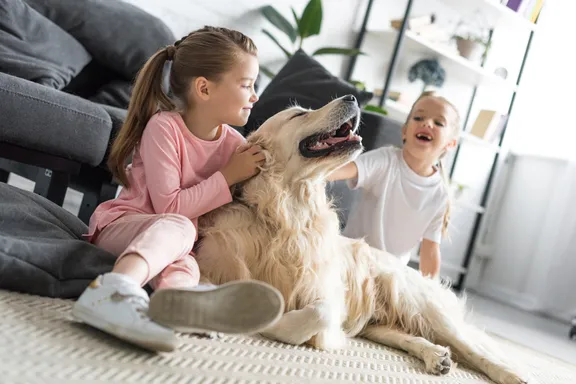 Friendly Dog Breeds for Families