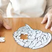 Can a Person Recover From Dementia?